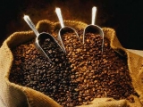 Beneficiile consumului de cafea