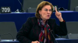 "Iohannis trebuie să ceară Comisiei Europene să înceteze mizeria asta"! Ce a scos-o din minți pe europarlamentarul Maria Grapini