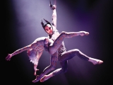 Acrobată de la Cirque du Soleil, moartă după o căzătură de la 15 metri VIDEO