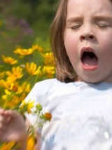 Cum evitam pericolul alergiilor de toamnă