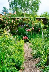 Cum păstrăm frumuseţea unei grădini primăvara 