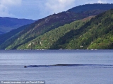 Monstrul din Loch Ness a ieșit, din nou, la suprafață VIDEO