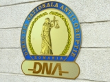 OFICIAL DNA - Acuzațiile care le sunt aduse lui Mircea si Vlad Cozma