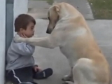 Un câine încearcă să intre în grațiile unui copil VIDEO