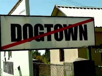 afacerea-dog-town-i-sorin-oprescu-33942-1.jpg