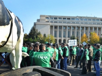 protest-de-ampolare-in-fata-guvernului-crescatorii-de-animale-au-iesit-in-strada-46199-1.jpg